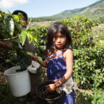 Do Starbucks use child Labour?