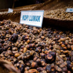 Does 711 sell their coffee beans?