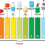 Does Ayato scale with HP?