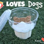 Does Dunkin Donuts have a pup Cup?