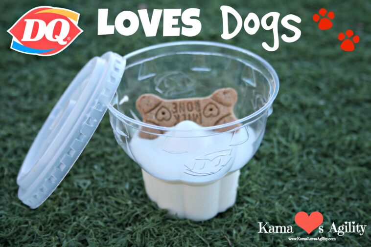 Does Dunkin Donuts have a pup Cup?