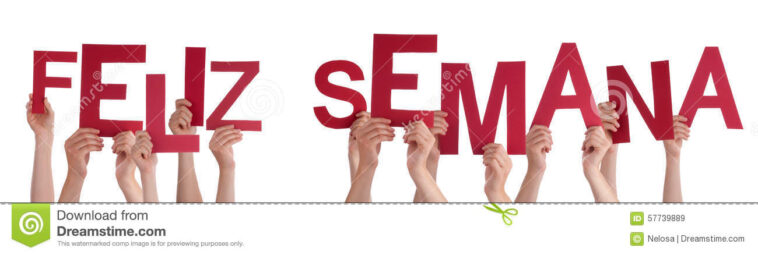 Does Feliz mean happy?