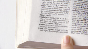 Does Google have a Spanish dictionary?