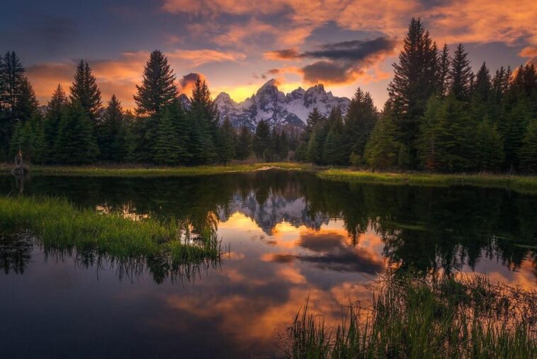 Does Grand mean tall in French?