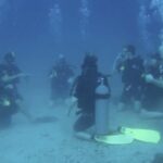 Does Starbuck have a under the sea refresher?