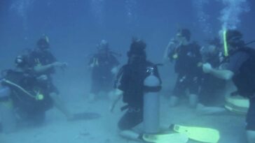 Does Starbuck have a under the sea refresher?