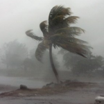 Does gale mean wind?