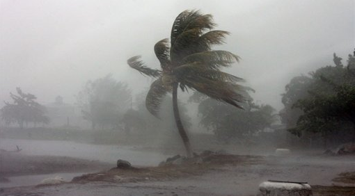 Does gale mean wind?