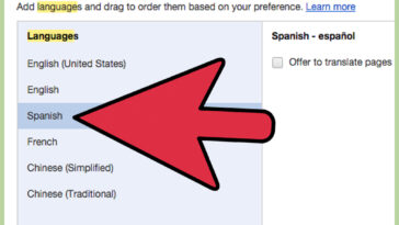 How can I Translate an email from Italian to English?