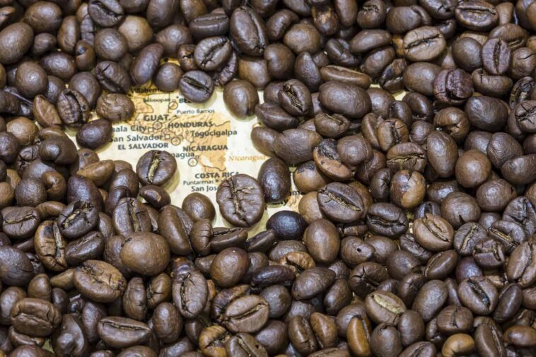 How can I invest in coffee beans?