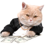 How can I make money with my cat?