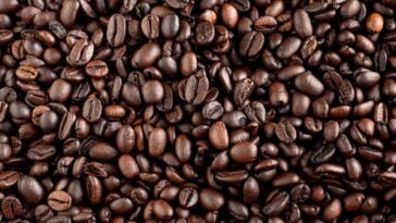 How can you tell good quality coffee beans?