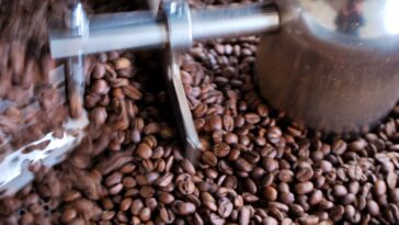 How do I become a coffee roaster?