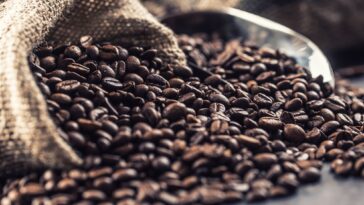 How do I choose a coffee supplier?