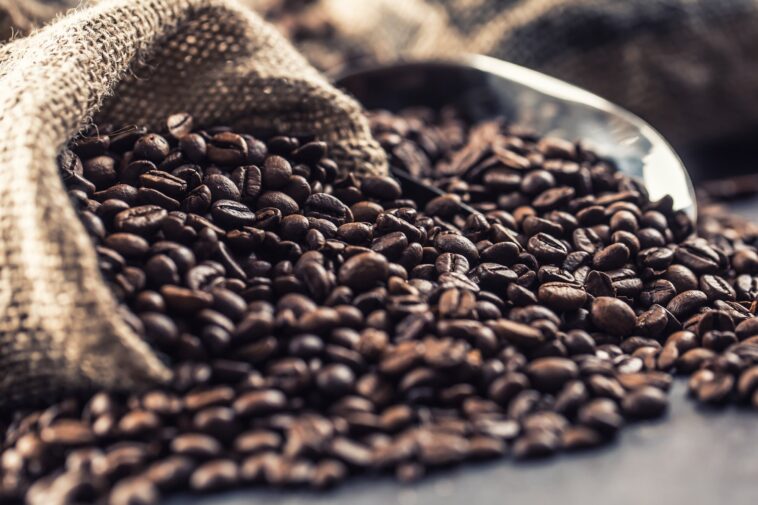 How do I choose a coffee supplier?