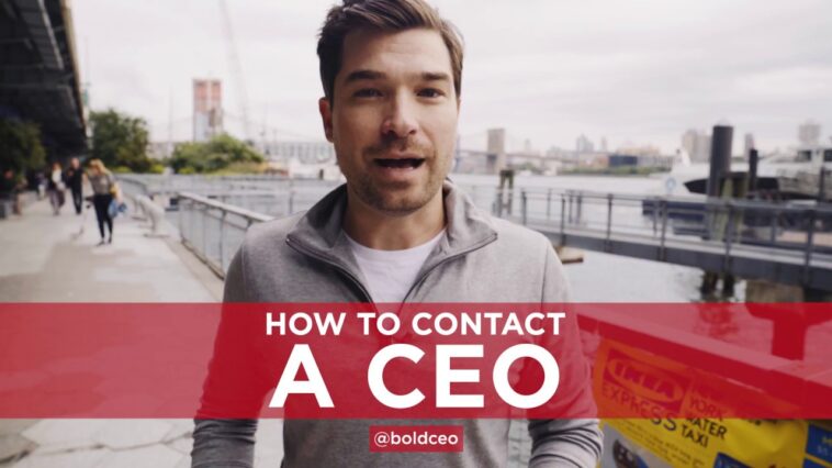 How do I contact a CEO directly?