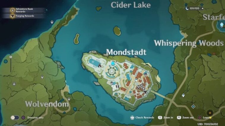 How do I get to the Shrine of depths?