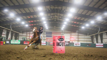 How do I know if I am a Gold member Starbucks?