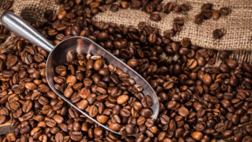 How do coffee beans get different flavors?