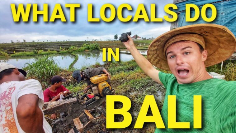 How do locals pronounce Bali?