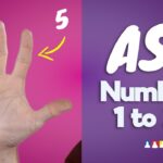 How do you count to 20?