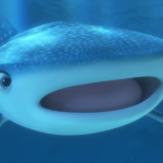 How do you filter unusual whales?