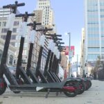 How do you get a free ride on birds?