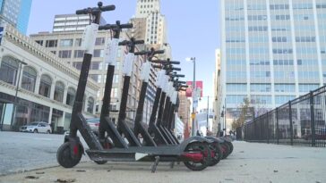 How do you get a free ride on birds?