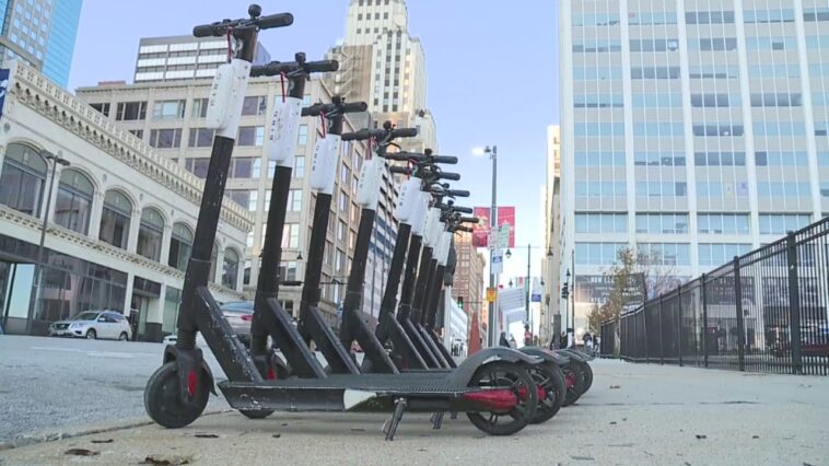 How do you get a free ride on birds?