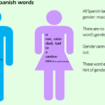 How do you know which words are masculine in Spanish?