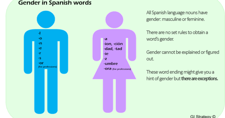 How do you know which words are masculine in Spanish?