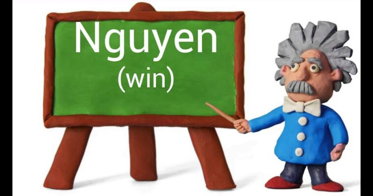 How do you pronounce negeb?