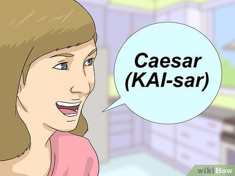 How do you pronounce suis in Latin?