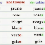 How do you say big masculine in French?