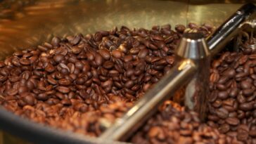 How do you tell if your coffee beans are freshly roasted?