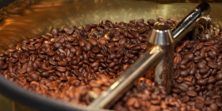 How do you tell if your coffee beans are freshly roasted?