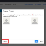 How do you translate in zoom?