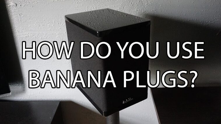 How do you use Bueno?