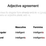 How do you use Petit in a sentence in French?