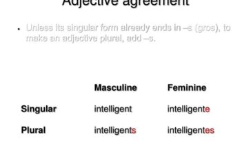 How do you use Petit in a sentence in French?