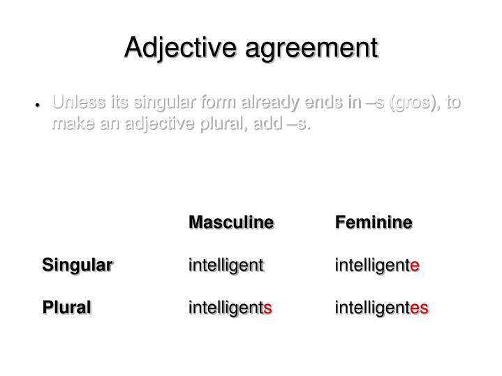 How do you use Petit in a sentence in French?