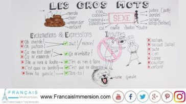 How do you use gros in French?