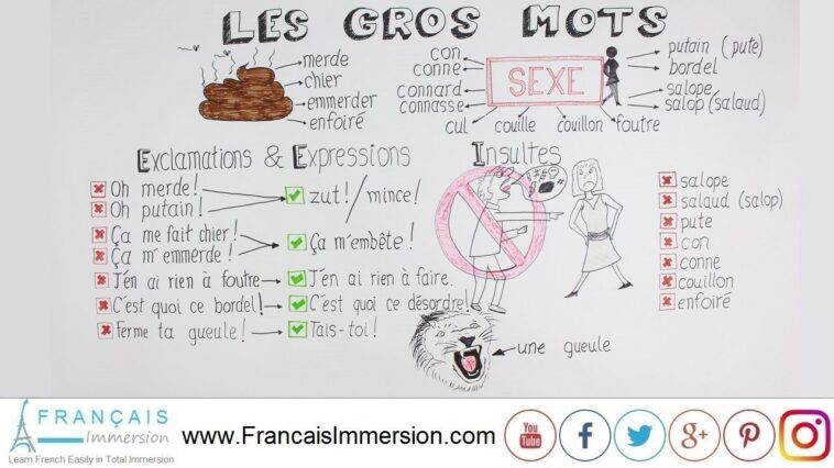 How do you use gros in French?
