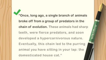 How do you write good sentences in French?