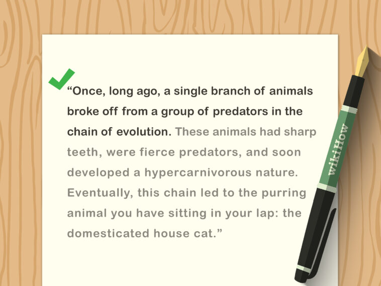 How do you write good sentences in French?