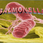 How is Salmonella measured?