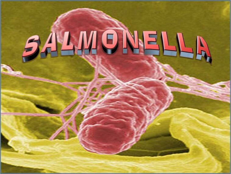 How is Salmonella measured?