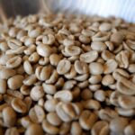 How is green coffee sold?