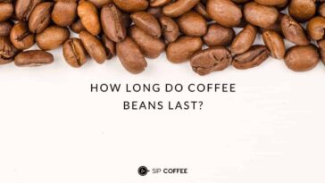 How long do coffee beans last?