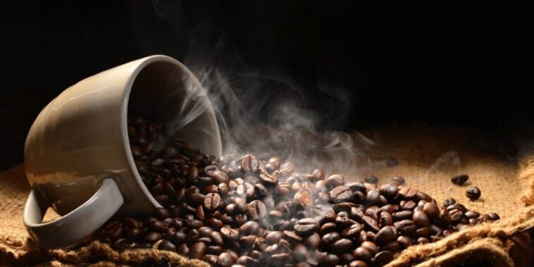 How long do coffee beans stay fresh after roasting?